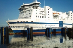 IMAGE0061