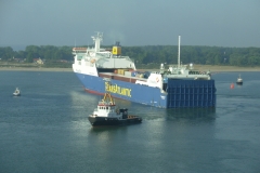 Transpulp-auf-Grund
